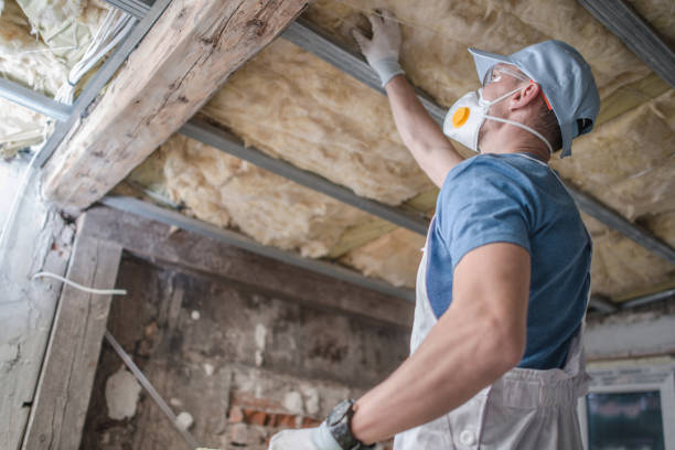 Best Insulation Repair Services  in Trenton, TN