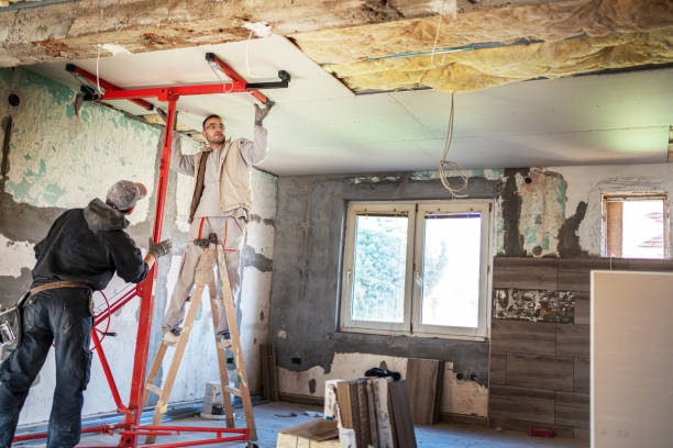 Best Wall Insulation Contractor  in Trenton, TN