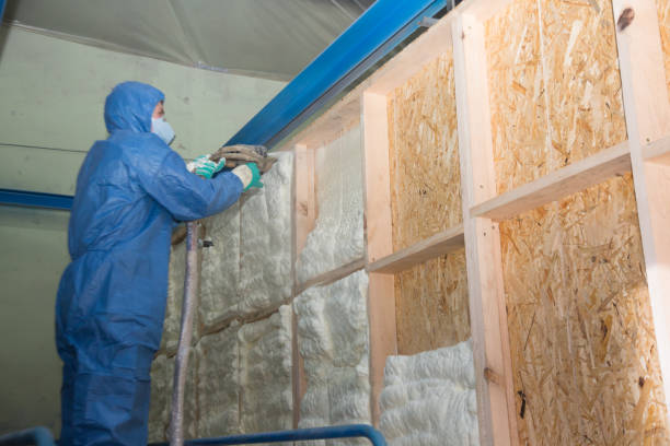 Best Attic Insulation Installation  in Trenton, TN